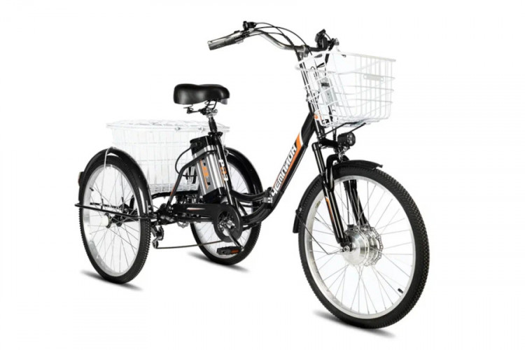 Электровелосипед РВЗ Чемпион 24 складной в Самаре