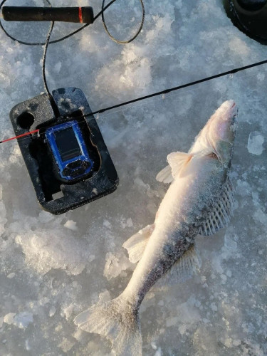 Эхолот Практик 8 в Самаре