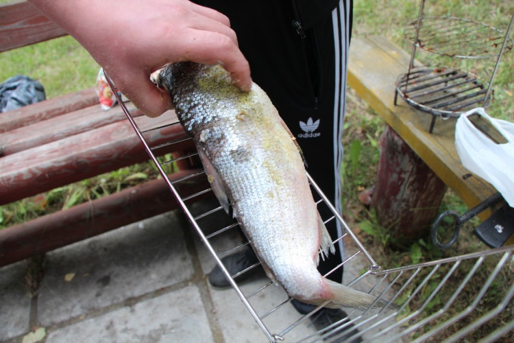 Решетка для рыбы в Самаре