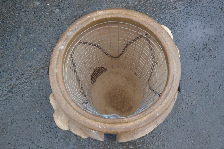 Тандыр Электрический Баран в Самаре