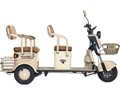 Пассажирский электротрицикл Rutrike Gelbert Atlas Пассажирский электротрицикл Rutrike Gelbert Atlas