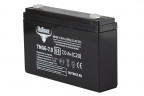 Тяговый гелевый аккумулятор RuTrike TNG 6-7.0 (6V7.0 A/H C20) в Самаре