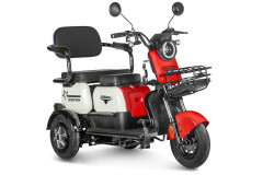 Электротрицикл Rutrike Gelbert Vega Электротрицикл Rutrike Gelbert Vega