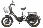 Электрофэтбайк Eltreco Green City e-ALFA Trike в Самаре