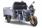 Грузовой электрический трицикл RuTrike Гибрид 1500 в Самаре